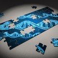 DNA Helix Puzzle